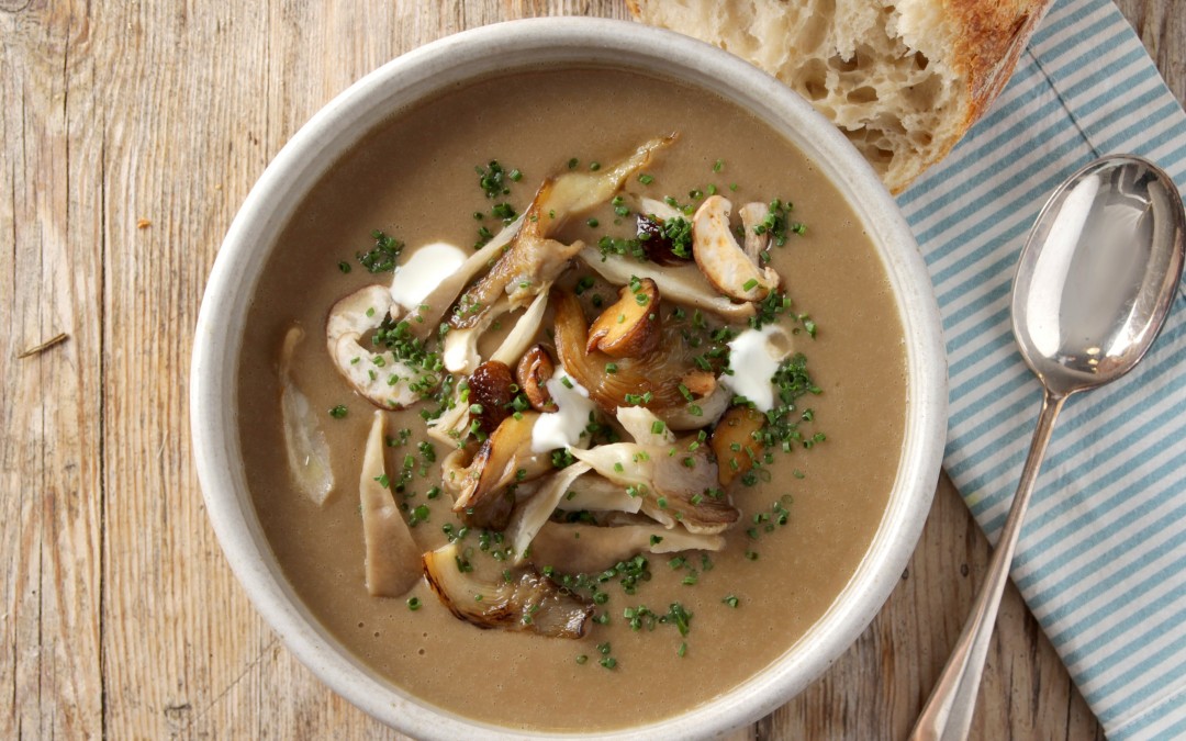 Wild Mushroom Soup